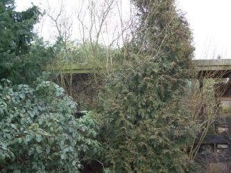 Harje Garbade Garten - Planung - Gestaltung - Pflege