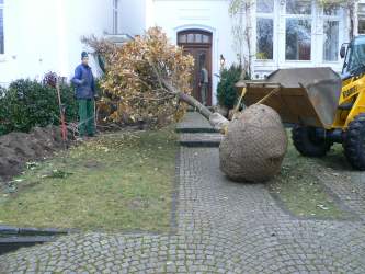 Harje Garbade Garten - Planung - Gestaltung - Pflege