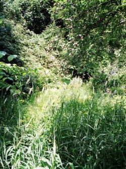 Harje Garbade Garten - Planung - Gestaltung - Pflege