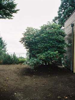 Harje Garbade Garten - Planung - Gestaltung - Pflege