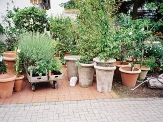 Harje Garbade Garten - Planung - Gestaltung - Pflege